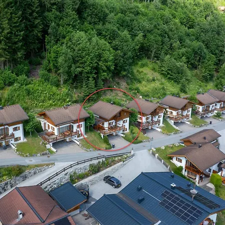 Schoeneben 't Hoge Loo Wald im Pinzgau